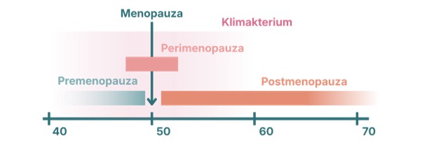 časová linie menopauzy